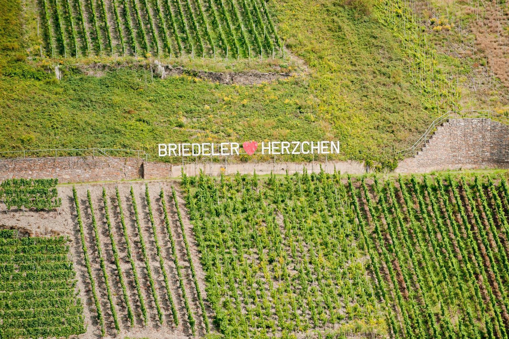 Wein- Und Sektgut Markus Hensler Брідель Екстер'єр фото